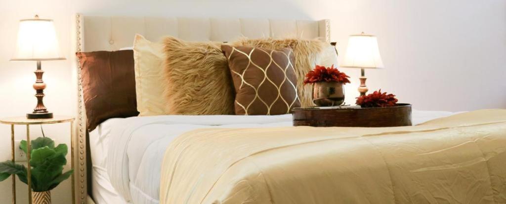 Eluxe At San Felipe Apartment ฮูสตัน ภายนอก รูปภาพ